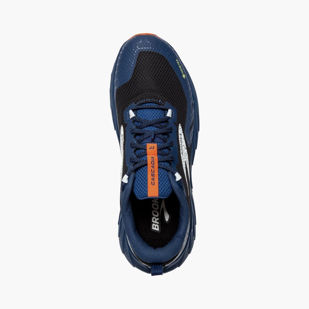 Brooks Cascadia 17 GTX Black / Blue | 98SKZLVEX