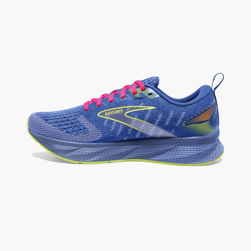 Brooks Levitate 6 Purple / Pink | 18GKIXMSB